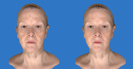Face Sculptor Image Animation